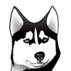 Husky memes 5