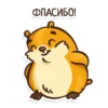 Hamster 5