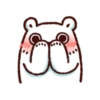 Little Bear 11