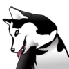 Husky memes 7