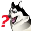 Husky memes 8