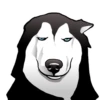 Husky memes 9