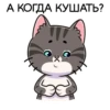 meowr_vk 9