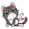 meowr_vk 10