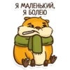 Hamster 8