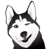 Husky memes 10