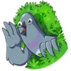 We