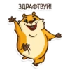 Hamster 9