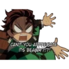 Demon Slayer 13
