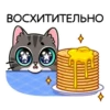 meowr_vk 13