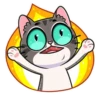 meowr_vk 14