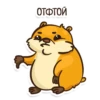 Hamster 11