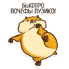 Hamster 13