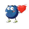Blueberry lol 11
