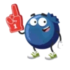 Blueberry lol 12