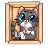 meowr_vk 15
