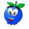 Blueberry lol 13
