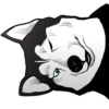 Husky memes 13