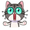 meowr_vk 16