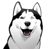 Husky memes 15