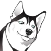 Husky memes 16