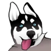 Husky memes 17