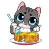 meowr_vk 17