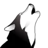 Husky memes 18