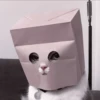 CUTE CATS 18