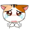 JapaneseKitten 19