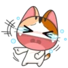 JapaneseKitten 20
