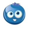 Blueberry lol 24
