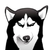 Husky memes 19