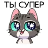 meowr_vk 21