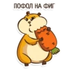 Hamster 17