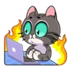 meowr_vk 23