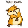 Hamster 18