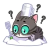 meowr_vk 24