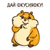 Hamster 19