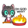 meowr_vk 25