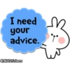 Spoiled Rabbit Useful Talk 23
