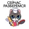 meowr_vk 27