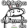 Florksito amolᥫ᭡ 28