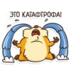 Hamster 22