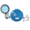 Blueberry lol 29