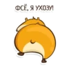 Hamster 23