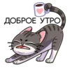 meowr_vk 29