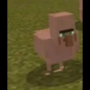 minecraft 25
