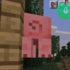 minecraft 29