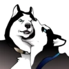Husky memes 24